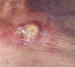 Screenshot 2026-01-29 095426