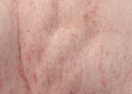 Screenshot 2026-03-26 080023